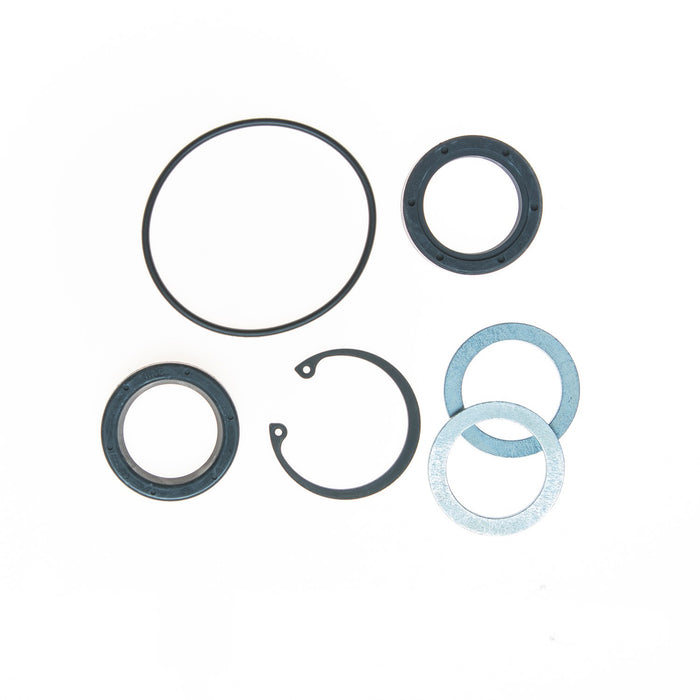 Steering Gear Pitman Shaft Seal Kit for Oldsmobile Bravada 4.3L V6 GAS 1994 1993 1992 1991 P-433573