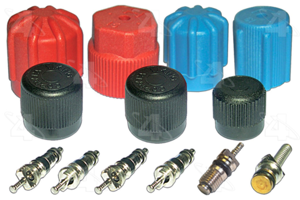 A/C System Valve Core and Cap Kit for BMW 3.0Si 1976 1975 1974 1973 1972 1971 P-2530780