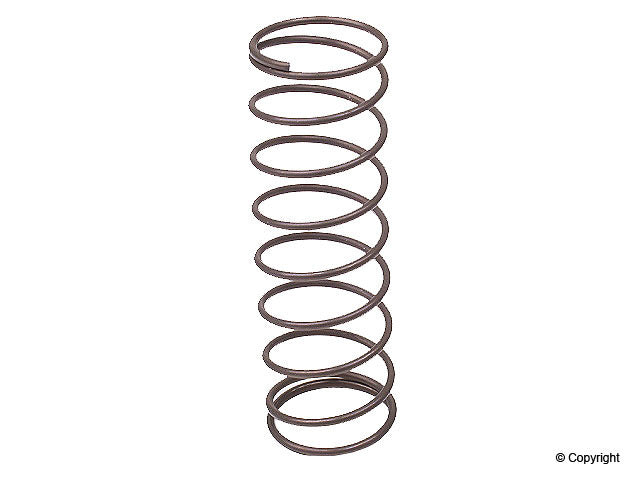 Engine Rocker Arm Shaft Spring for BMW 3.0CSi 1974 P-1540075