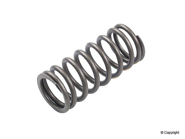 Inner Engine Valve Spring for BMW 525i 1990 1989 P-1540133