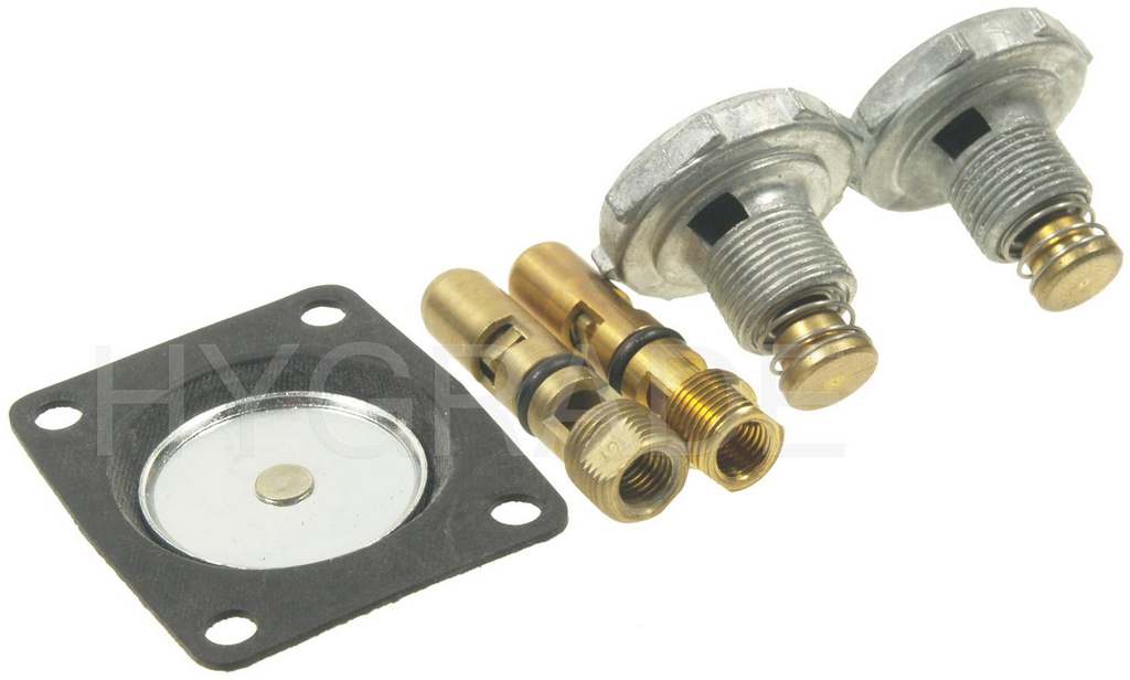 Carburetor Repair Kit for Ford 300 1963 P-1576385