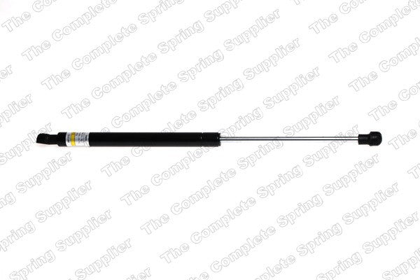 Hood Lift Support for BMW 325i Sedan 2006 2005 P-2672086