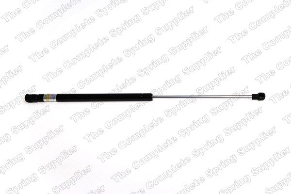 Hood Lift Support for Volkswagen Jetta 2004 2003 2002 2001 2000 1999 P-2672330