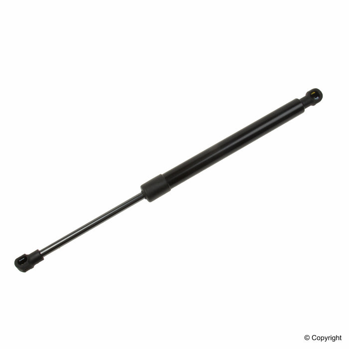 Trunk Lid Lift Support for BMW 330xi 2005 2004 2003 2002 2001 P-2672456