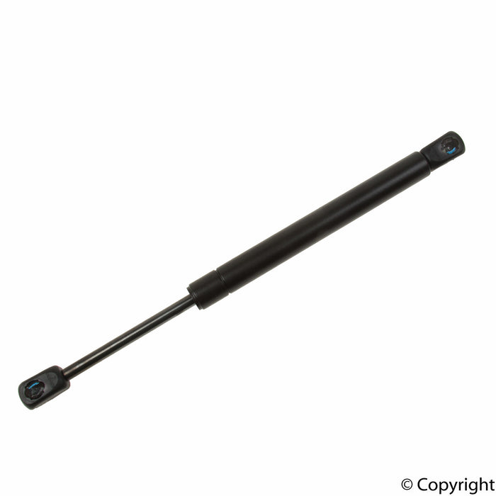 Trunk Lid Lift Support for BMW 318i Convertible 1999 1998 1997 1996 1995 1994 P-2672474