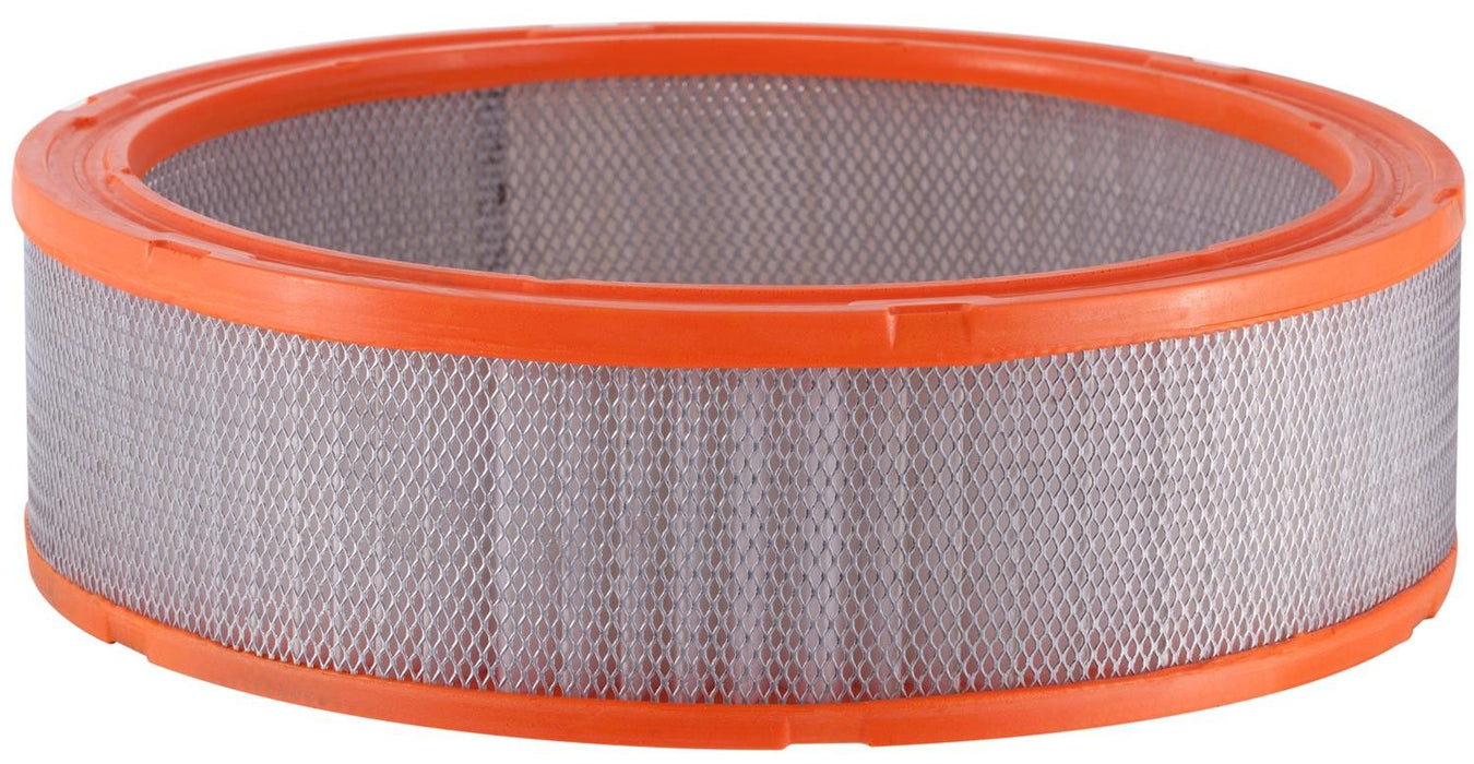 Air Filter for Buick Regal 4.4L V8 1982 1981 P-791494