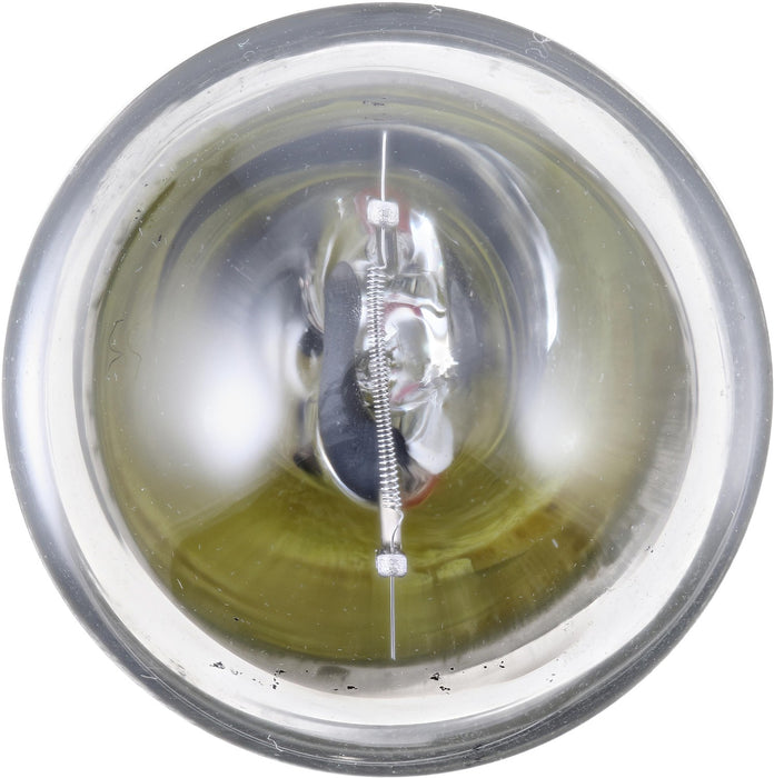 Dome Light Bulb for Dodge Power Wagon 1957 1956 P-856776