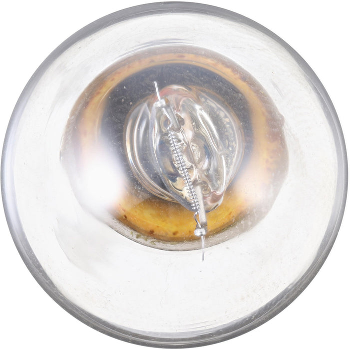 Front OR Rear Back Up Light Bulb for GMC P253 1951 P-859121