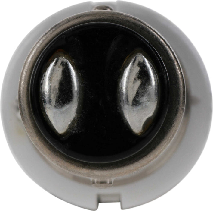 Front OR Rear Fog Light Bulb for Ford Galaxie 500 1974 1973 1972 1971 1970 1969 1968 1967 1966 1965 1964 1963 P-868350