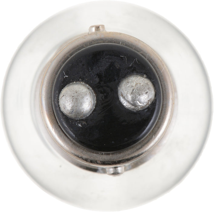 Rear Fog Light Bulb for Dodge Raider 1989 1988 1987 P-872887