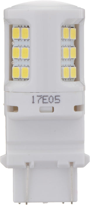 Back Up Light Bulb for Oldsmobile 98 1996 1995 1994 P-916678