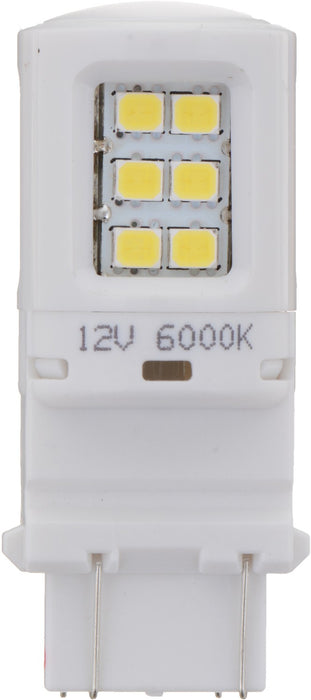 Back Up Light Bulb for Isuzu i-350 2006 P-916663