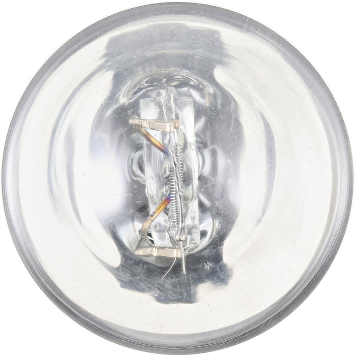 Front Tail Light Bulb for Chevrolet Cavalier 2002 2001 2000 1999 1998 1997 1996 1995 P-921242