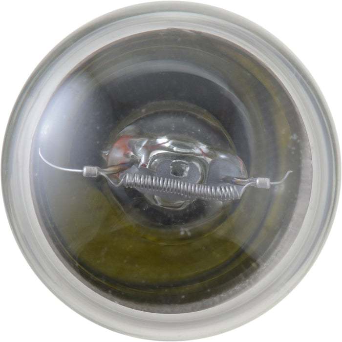 Front OR Rear Fog Light Bulb for Acura NSX 2005 2004 2003 2002 2001 2000 1999 1998 1997 1996 1995 1994 1993 1992 1991 P-922268