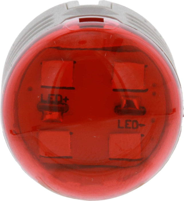 Rear Fog Light Bulb for Scion xA 2005 2004 P-933907