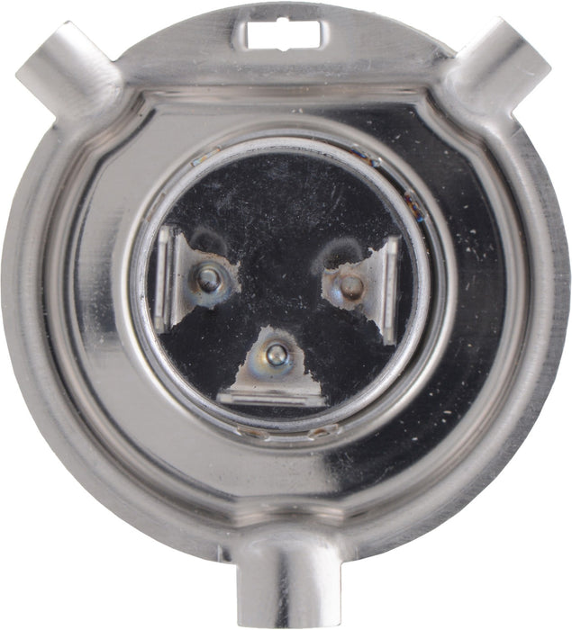 High Beam and Low Beam Fog Light Bulb for Big Dog Bulldog Sport 2011 P-955171