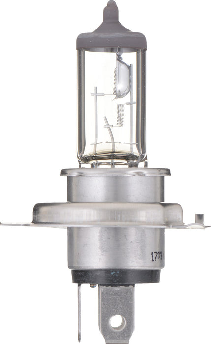 High Beam and Low Beam Fog Light Bulb for Victory Octane 2017 P-957090