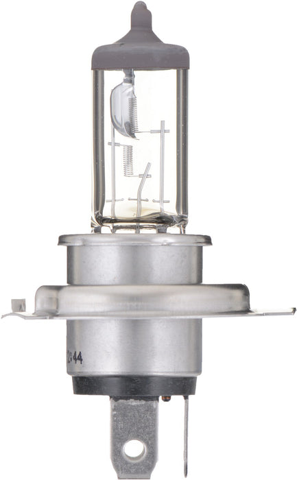 High Beam and Low Beam Fog Light Bulb for Big Dog Bulldog Sport 2011 P-955171