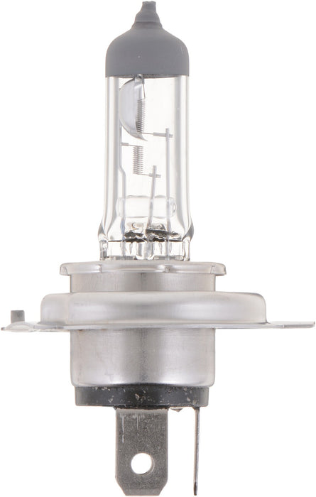 High Beam and Low Beam Fog Light Bulb for Polaris 600 Dragon SwitchBack 2010 2009 2008 P-972384