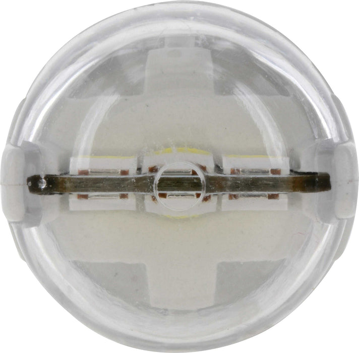 Outer Dome Light Bulb for Pontiac Grand Am 2005 2004 2003 2002 2001 2000 1999 1998 1997 1996 1995 1994 1993 1992 1991 1990 1989 1988 1987 P-1003423