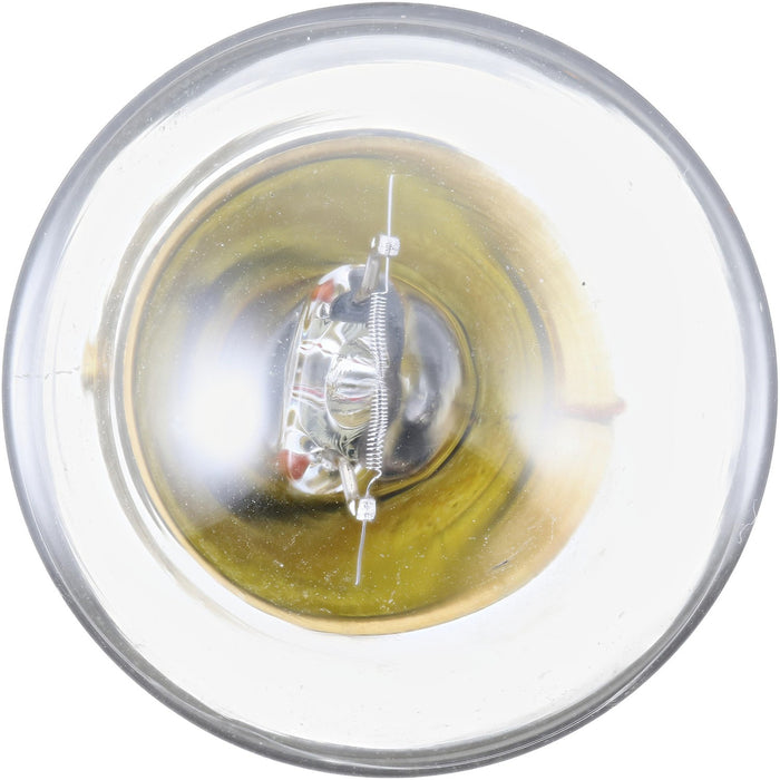 Dome Light Bulb for Pontiac Pathfinder 1958 1957 1956 1955 P-1003910