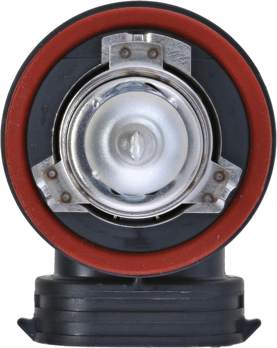 Low Beam Fog Light Bulb for Harley Davidson VRSCDX ANN V-Rod Anniversary E P-814749