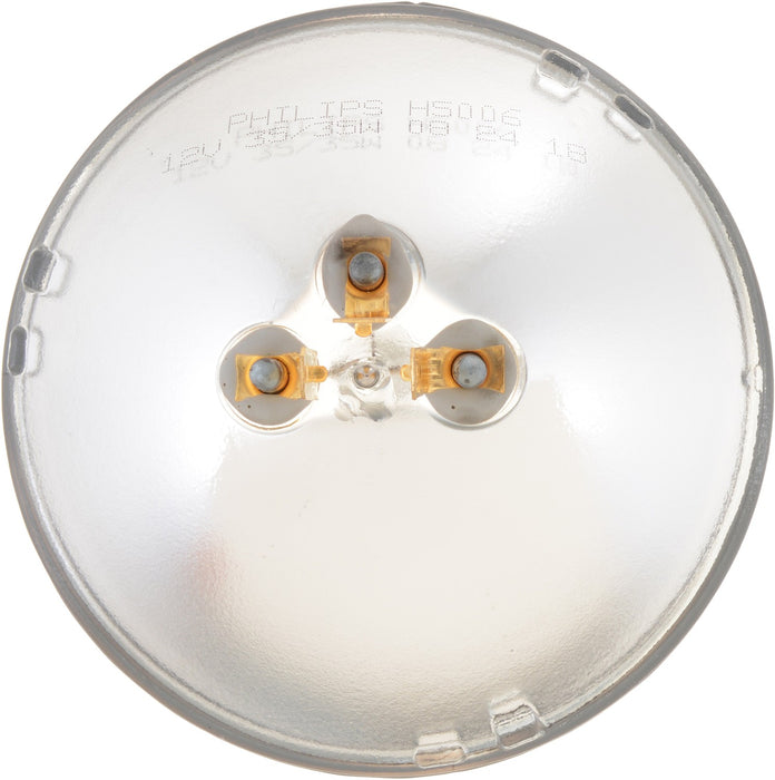 Low Beam Headlight Bulb for Chevrolet Del Ray 1958 P-832274