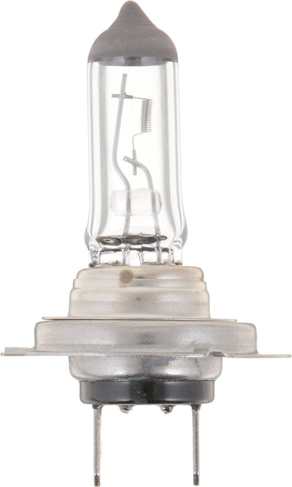 High Beam and Low Beam Fog Light Bulb for Think City 2011 P-838003