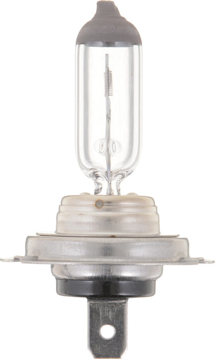 High Beam and Low Beam Fog Light Bulb for Think City 2011 P-838003