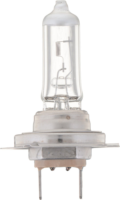 High Beam and Low Beam Fog Light Bulb for Benelli TNT Sport Evo 2009 P-838190