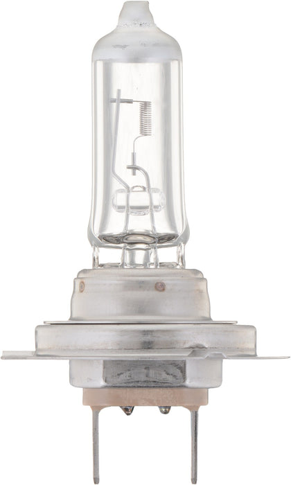 High Beam and Low Beam Fog Light Bulb for Benelli TNT Sport Evo 2009 P-838190