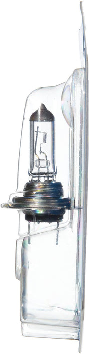 High Beam and Low Beam Fog Light Bulb for Benelli Tornado Tre 900 RS 2005 2004 P-840138