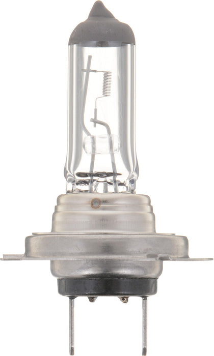 High Beam and Low Beam Fog Light Bulb for Can-Am Spyder GS (SM5) 2009 2008 P-841311