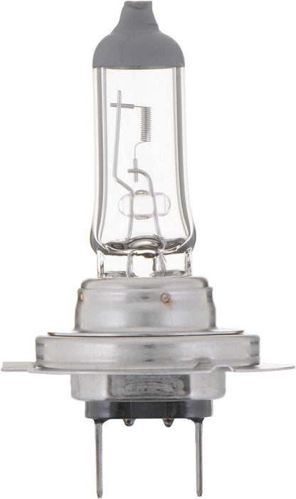 High Beam OR Low Beam Fog Light Bulb for Nissan Pickup 2005 P-842739