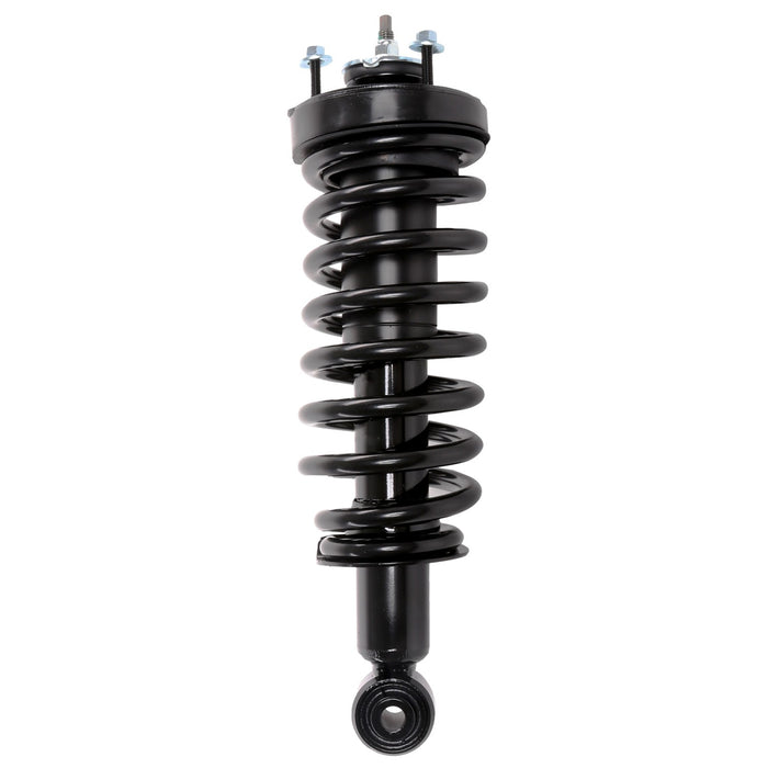 Front Suspension Strut and Coil Spring Assembly for Ford Crown Victoria 4.6L V8 2011 2010 2009 2008 2007 2006 2005 2004 2003 P-1967238