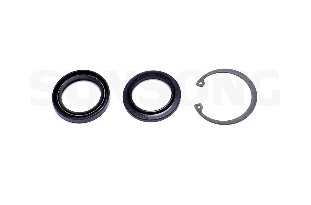 Lower Steering Gear Pitman Shaft Seal Kit for Ford F-100 1983 1982 1981 1980 P-3158213