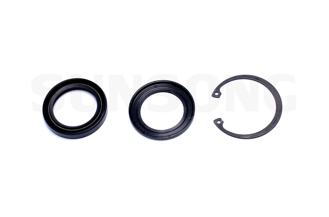 Lower Steering Gear Pitman Shaft Seal Kit for Ford Econoline 2005 2004 2003 2002 2001 2000 1999 P-3158680