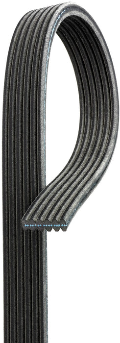 Serpentine Belt for Volkswagen Jetta 2009 2008 2007 2006 2005 2004 2003 2002 2001 2000 1999 P-3656400