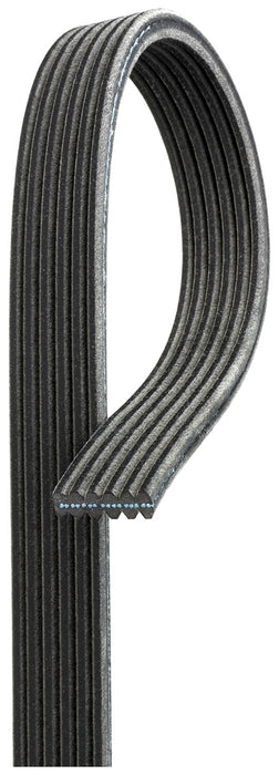 Serpentine Belt for Volkswagen Jetta 2009 2008 2007 2006 2005 2004 2003 2002 2001 2000 1999 P-3656400