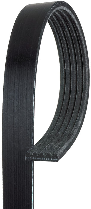 Serpentine Belt for Renault Kangoo Express 1.6L L4 GAS 2008 2007 2006 2005 2004 P-3660055