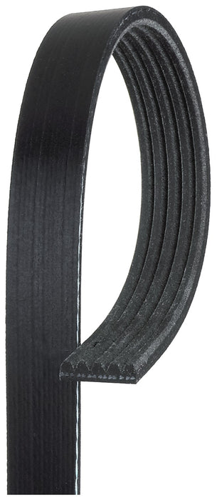 Serpentine Belt for Freightliner Sprinter 3500 3.5L V6 GAS 2008 2007 P-3660072