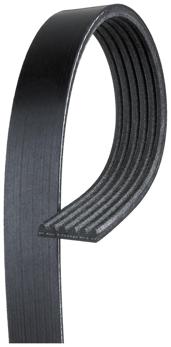 Serpentine Belt for Seat Altea 2.0L L4 GAS 2006 P-3660435