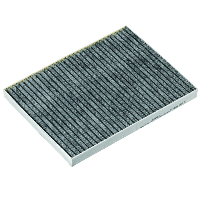 Cabin Air Filter for Chrysler Town & Country 2007 2006 2005 2004 2003 2002 2001 P-61405