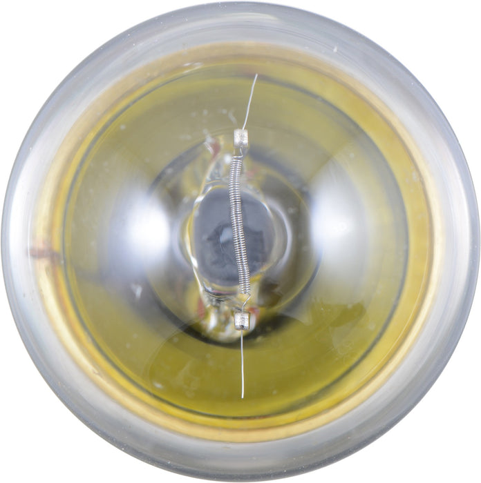 Rear Instrument Panel Light Bulb for GMC C3500 1986 1985 1984 1983 1982 1981 1980 1979 - Phillips 67B2