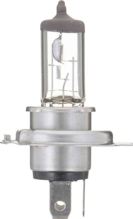 High Beam and Low Beam Fog Light Bulb for Suzuki GS550ES 1986 1985 1984 1983 - Phillips 9003B2
