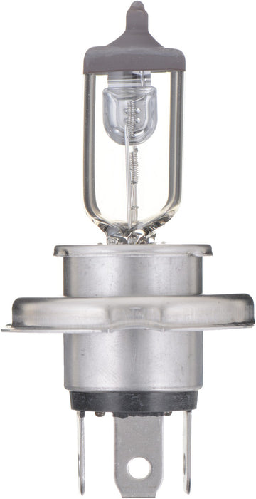 High Beam and Low Beam Fog Light Bulb for Suzuki LT500R QuadRacer 1990 1989 1988 1987 - Phillips 9003C1