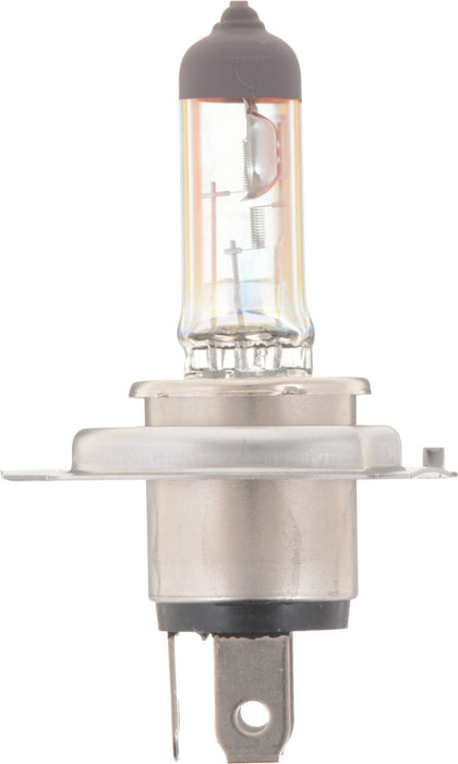 Low Beam Fog Light Bulb for Aprilia RSV Mille 2003 2002 2001 2000 1999 1998 - Phillips 9003MVB1