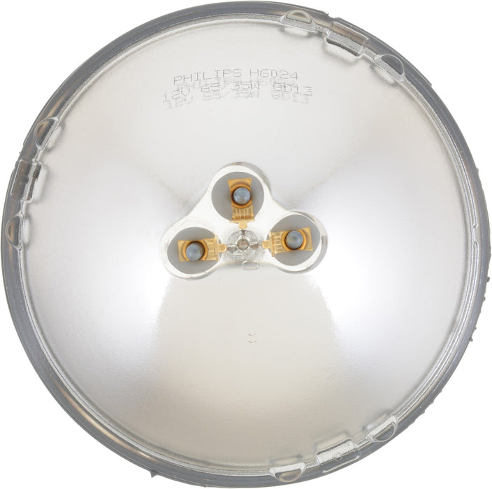 High Beam and Low Beam Headlight Bulb for International MA 1913 P-833003