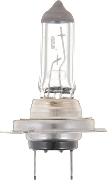 High Beam OR Low Beam Fog Light Bulb for Honda GL1800HPN Gold Wing Audio/Comf - Phillips H7C1