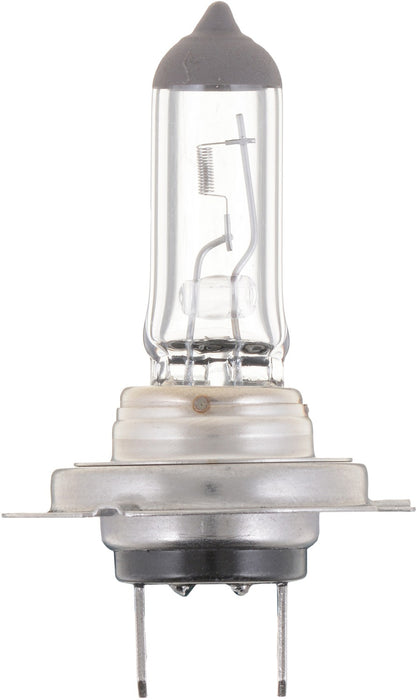 Low Beam Fog Light Bulb for Hyundai XG300 2001 - Phillips H7PRB1